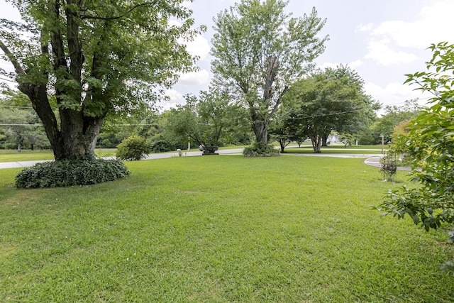 2802 Canterbury Dr, Springfield, TN 37172 - view of green lawn
