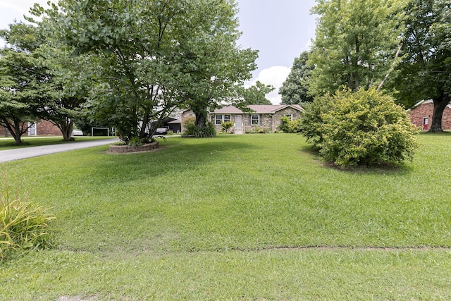2802 Canterbury Dr, Springfield, TN 37172 - view of green lawn
