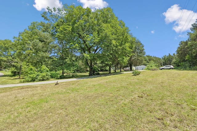 1273 Spence Ln, Lewisburg, TN 37091 - photo 9
