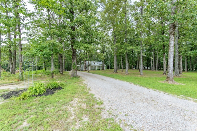 40 Suzy Cv, Savannah, TN 38372 - photo 37