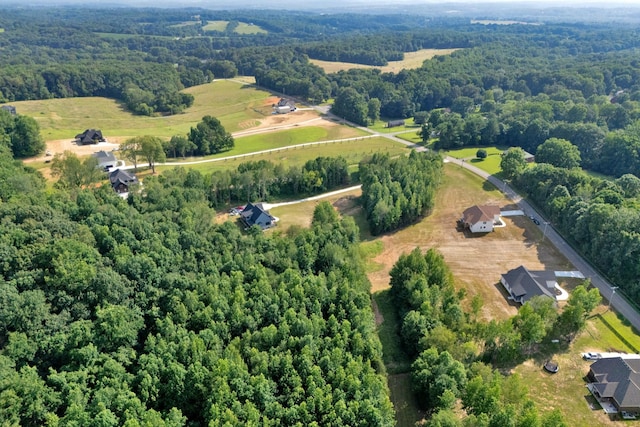 1065 Gholson Rd, Clarksville, TN 37043 - photo 64