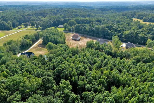 1065 Gholson Rd, Clarksville, TN 37043 - photo 65