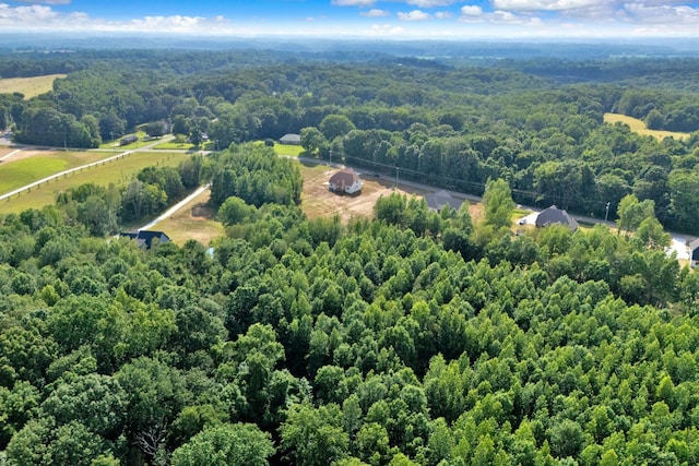 1065 Gholson Rd, Clarksville, TN 37043 - photo 62