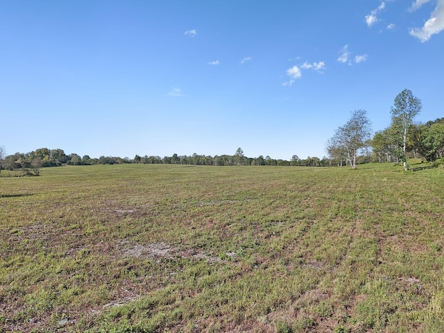 1 Seven Springs Rd, Smithville, TN 37166 - photo 11