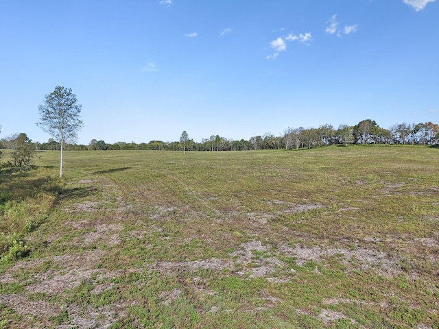 1 Seven Springs Rd, Smithville, TN 37166 - photo 7