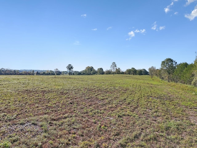 1 Seven Springs Rd, Smithville, TN 37166 - photo 8