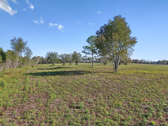 1 Seven Springs Rd, Smithville, TN 37166 - photo 6