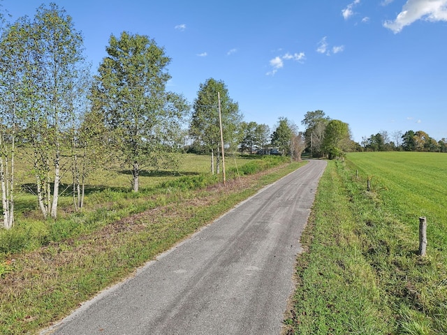 1 Seven Springs Rd, Smithville, TN 37166 - photo 9