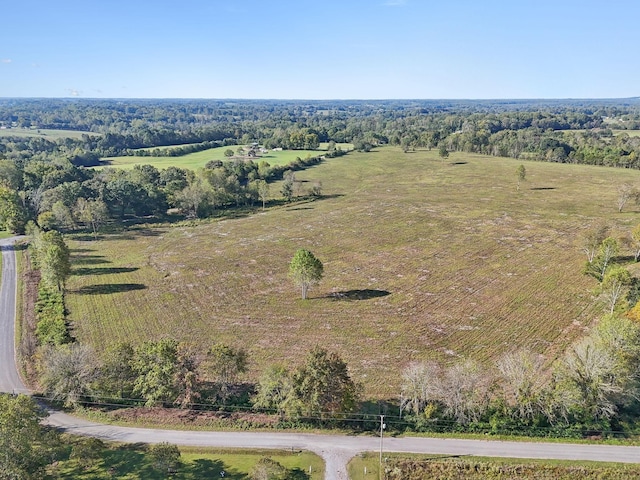 1 Seven Springs Rd, Smithville, TN 37166 - photo 12