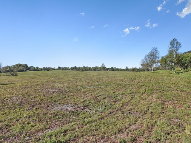 1 Seven Springs Rd, Smithville, TN 37166 - photo 17