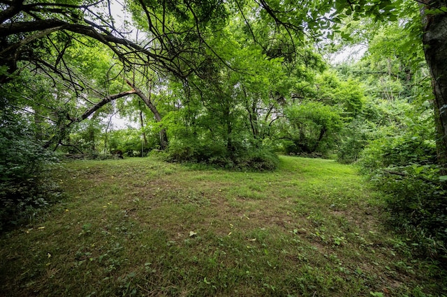106 Rosewood Ct, Smyrna, TN 37167 - photo 60