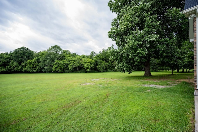 106 Rosewood Ct, Smyrna, TN 37167 - photo 53