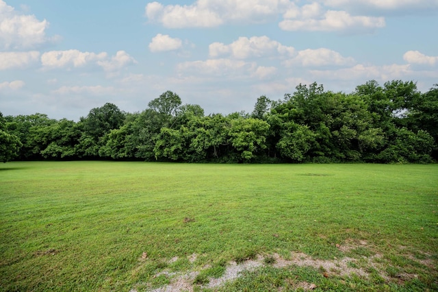 106 Rosewood Ct, Smyrna, TN 37167 - photo 55