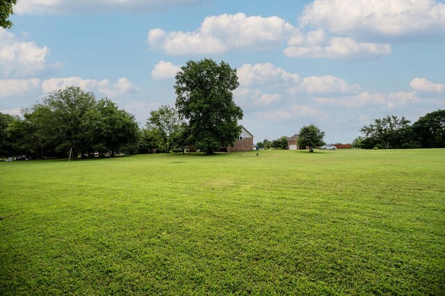 106 Rosewood Ct, Smyrna, TN 37167 - photo 52