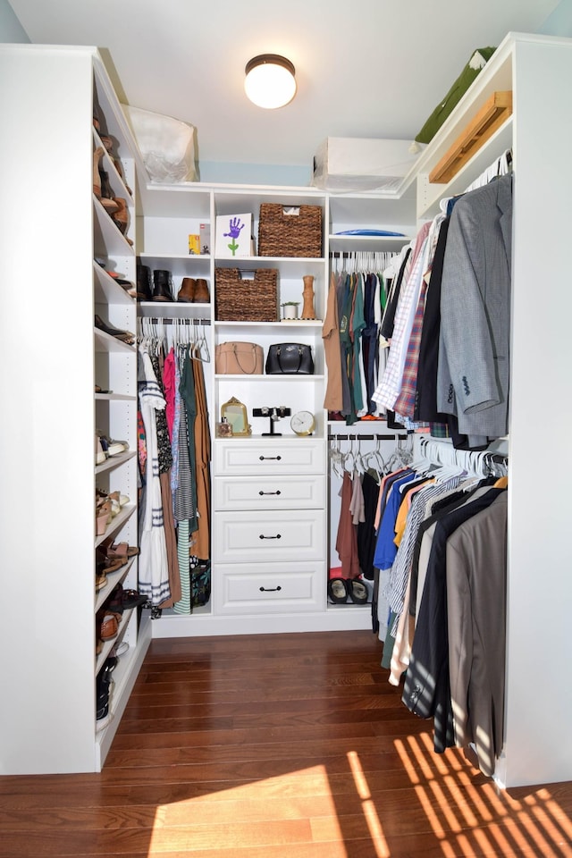 216 Honeysuckle Ln, Lebanon, TN 37087 - spacious closet with wood finished floors