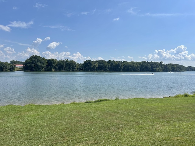 119 Elkins St, Estill Springs, TN 37330 - photo 42