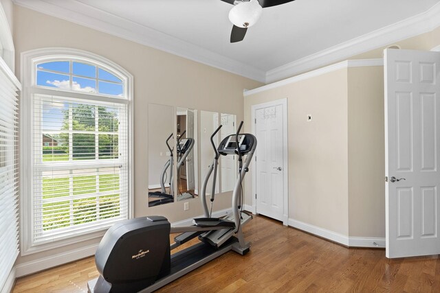 4815 Bethesda Rd, Thompsons Station, TN 37179 - photo 28