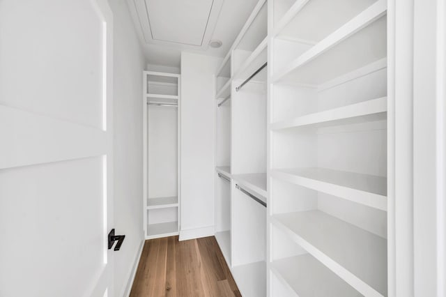 18 Willis St Unit A, Nashville, TN 37207 - walk in closet with dark wood-style flooring and attic access