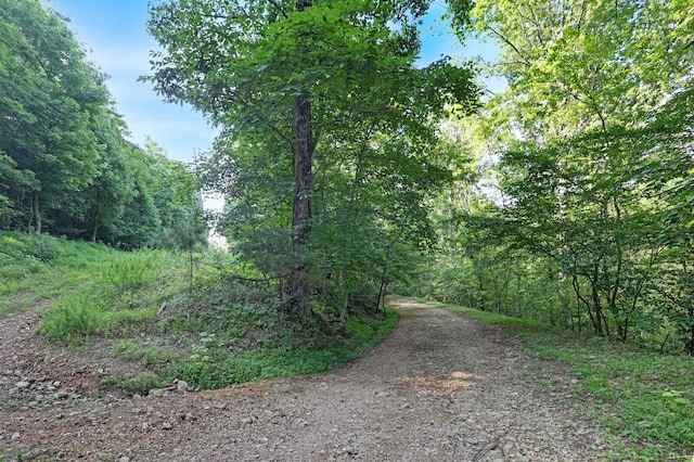 0 Martin Hollow Rd, Culleoka, TN 38451