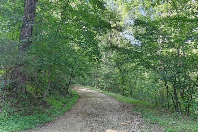 0 Martin Hollow Rd, Culleoka, TN 38451