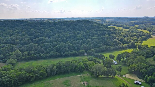 0 Martin Hollow Rd, Culleoka, TN 38451