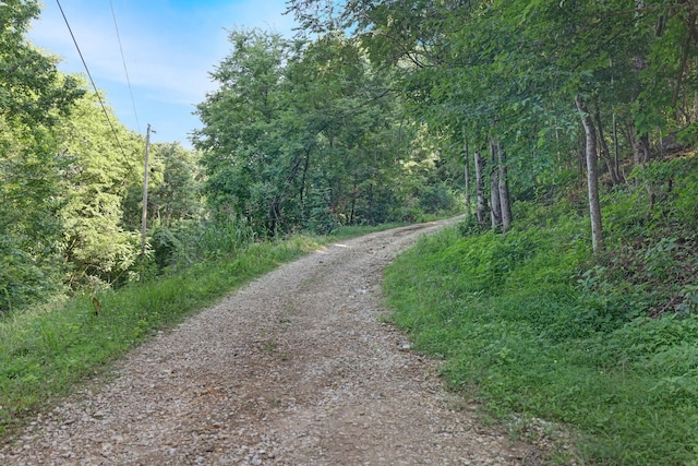 0 Martin Hollow Rd, Culleoka, TN 38451