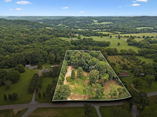 4270 Moore Ln, Culleoka, TN 38451