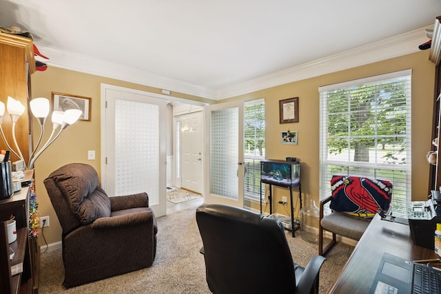 2311 Sunland Ct, Murfreesboro, TN 37128 - photo 4