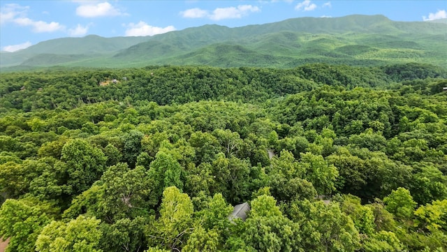 945 Scenic Trl, Gatlinburg, TN 37738 - mountain view with a heavily wooded area