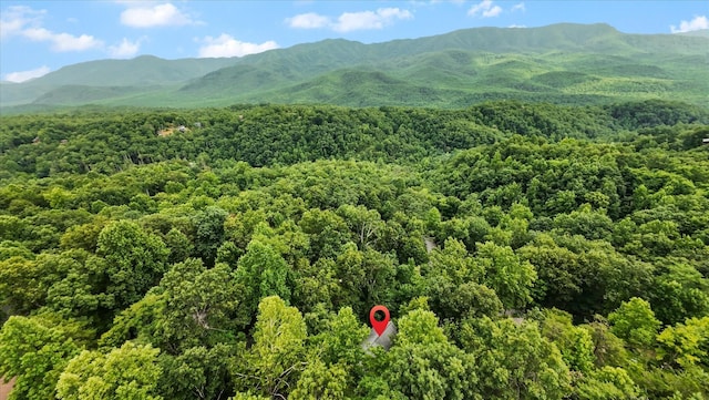 945 Scenic Trl, Gatlinburg, TN 37738 - mountain view with a forest