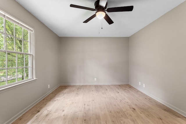 309 Shawnee Dr, Columbia, TN 38401 - empty room with plenty of natural light, light wood-type flooring, and a ceiling fan
