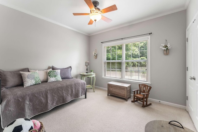 718 Sergio Ave, Murfreesboro, TN 37128 - photo 20