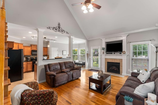 718 Sergio Ave, Murfreesboro, TN 37128 - photo 7