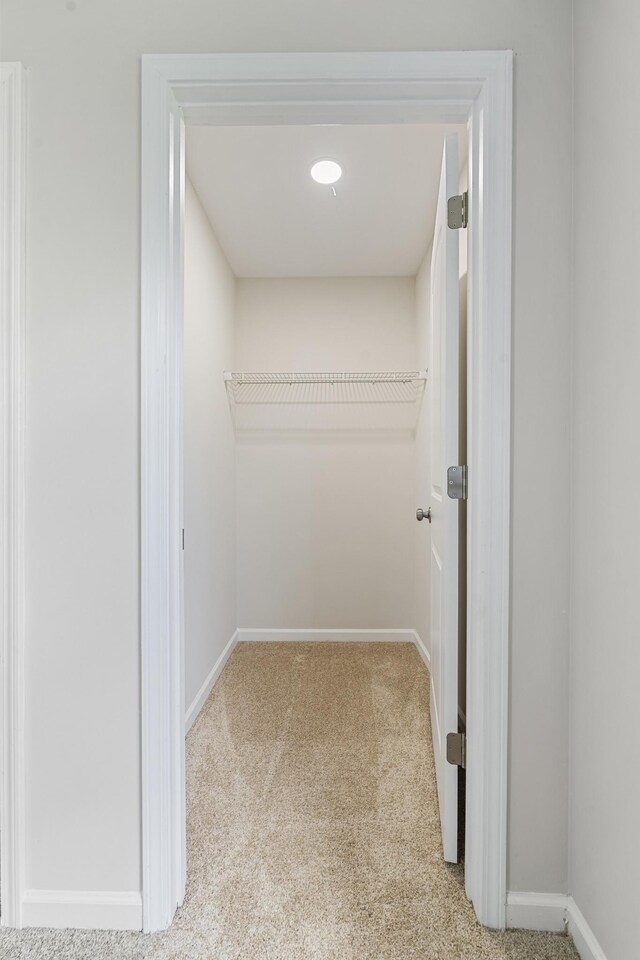 3136 Lauren Evelyn Way, Nashville, TN 37207 - walk in closet featuring carpet