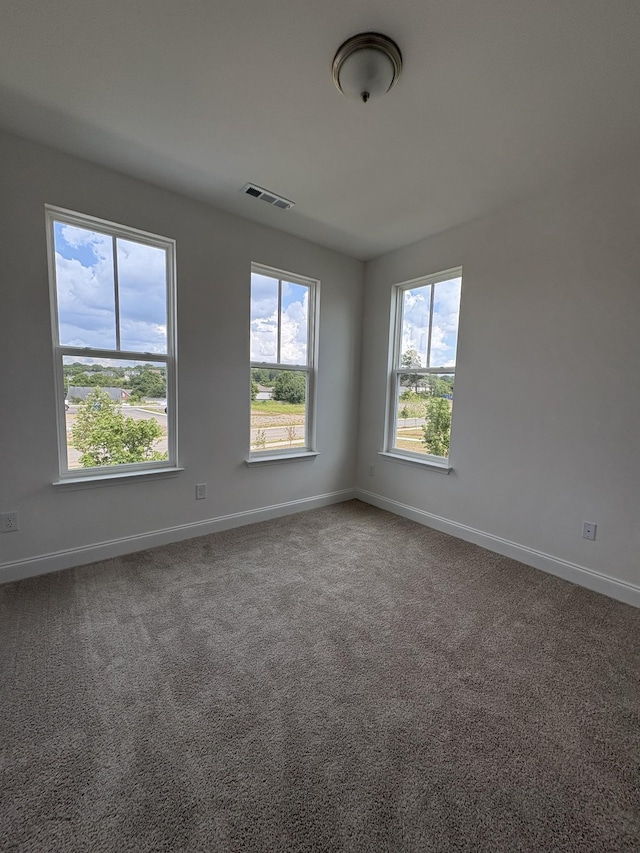 7307 Carothers Rd, Nolensville, TN 37135 - photo 25