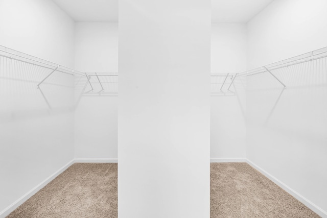 1234 English Oak Dr, Clarksville, TN 37043 - spacious closet featuring light carpet