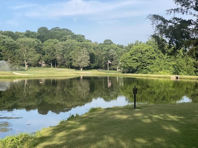 162 N Berwick Ln, Franklin, TN 37069 - water view featuring a heavily wooded area