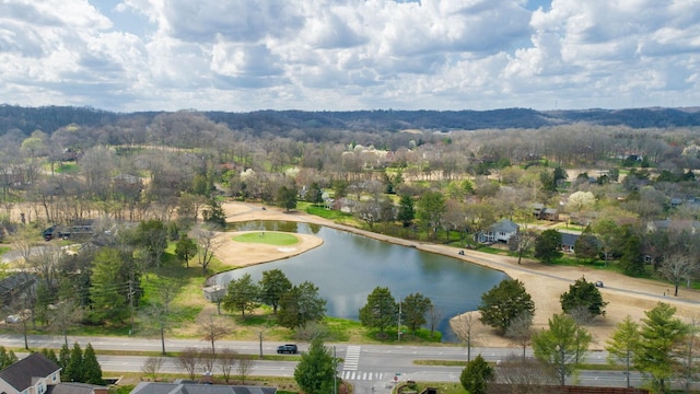 162 N Berwick Ln, Franklin, TN 37069 - aerial view of residential area featuring a nearby body of water