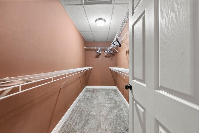 3158 Whitetail Dr, Clarksville, TN 37043 - spacious closet featuring a paneled ceiling and carpet