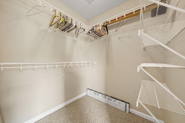 3158 Whitetail Dr, Clarksville, TN 37043 - walk in closet with carpet floors