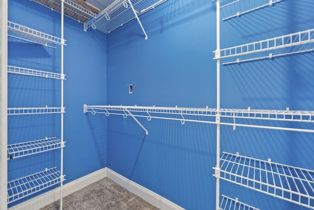 3158 Whitetail Dr, Clarksville, TN 37043 - walk in closet with carpet floors