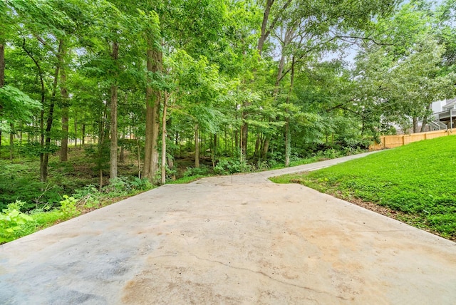 3158 Whitetail Dr, Clarksville, TN 37043 - view of concrete driveway