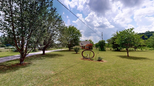 4745 Wildberry Ln, Chapel Hill, TN 37034 - photo 23