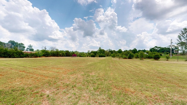 4745 Wildberry Ln, Chapel Hill, TN 37034 - photo 29