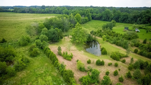 4745 Wildberry Ln, Chapel Hill, TN 37034 - photo 28