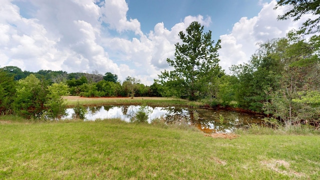 4745 Wildberry Ln, Chapel Hill, TN 37034 - photo 31