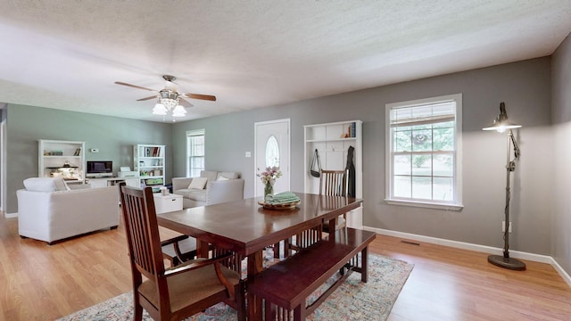4745 Wildberry Ln, Chapel Hill, TN 37034 - photo 6