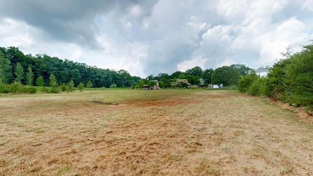 4745 Wildberry Ln, Chapel Hill, TN 37034 - photo 30