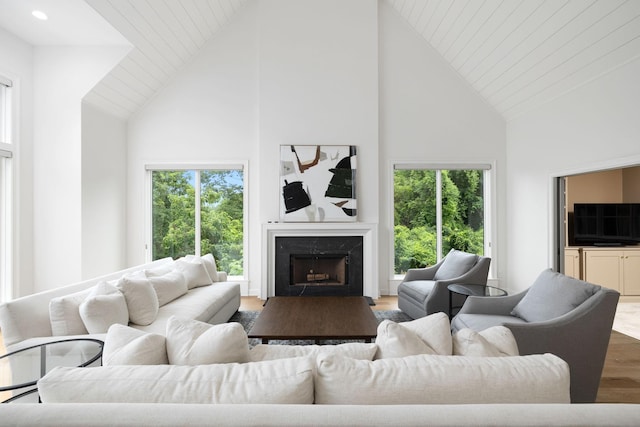 928 Harbor Pointe Dr, Silver Point, TN 38582 - living room featuring high vaulted ceiling, wood finished floors, healthy amount of natural light, a high end fireplace, and recessed lighting