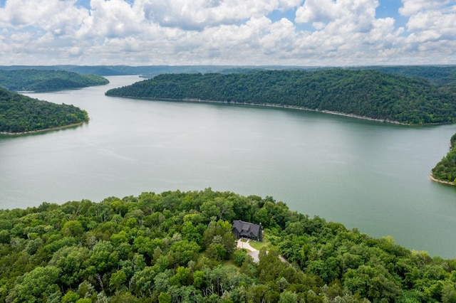 928 Harbor Pointe Dr, Silver Point, TN 38582 - bird's eye view of a forest and a nearby body of water